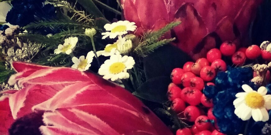 Lucy_Chis_'s profile banner image