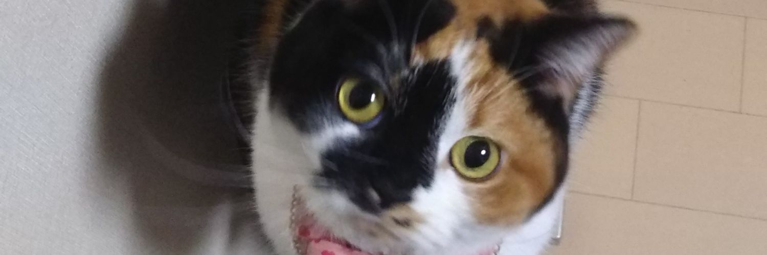 nonkikuma's profile banner image