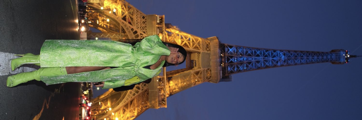 desthevixen's profile banner image