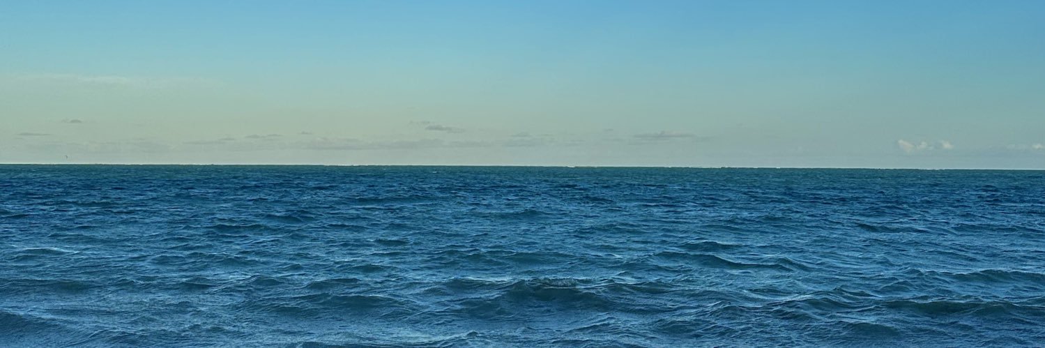 NicoolePiazza's profile banner image