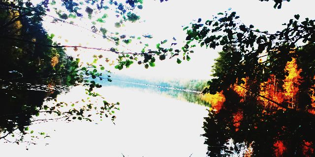 fanglrlsass's profile banner image