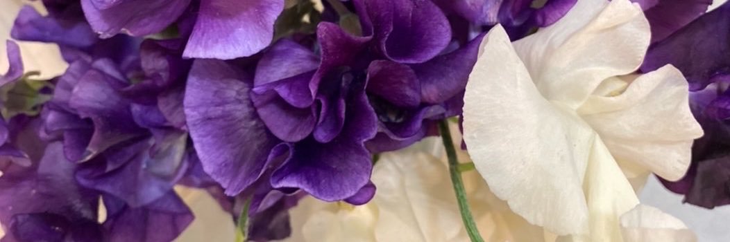 Cielble0367273's profile banner image