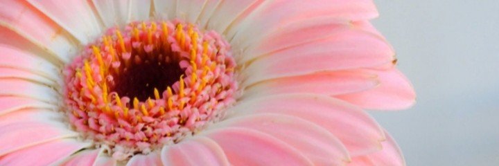 natmoonshine's profile banner image