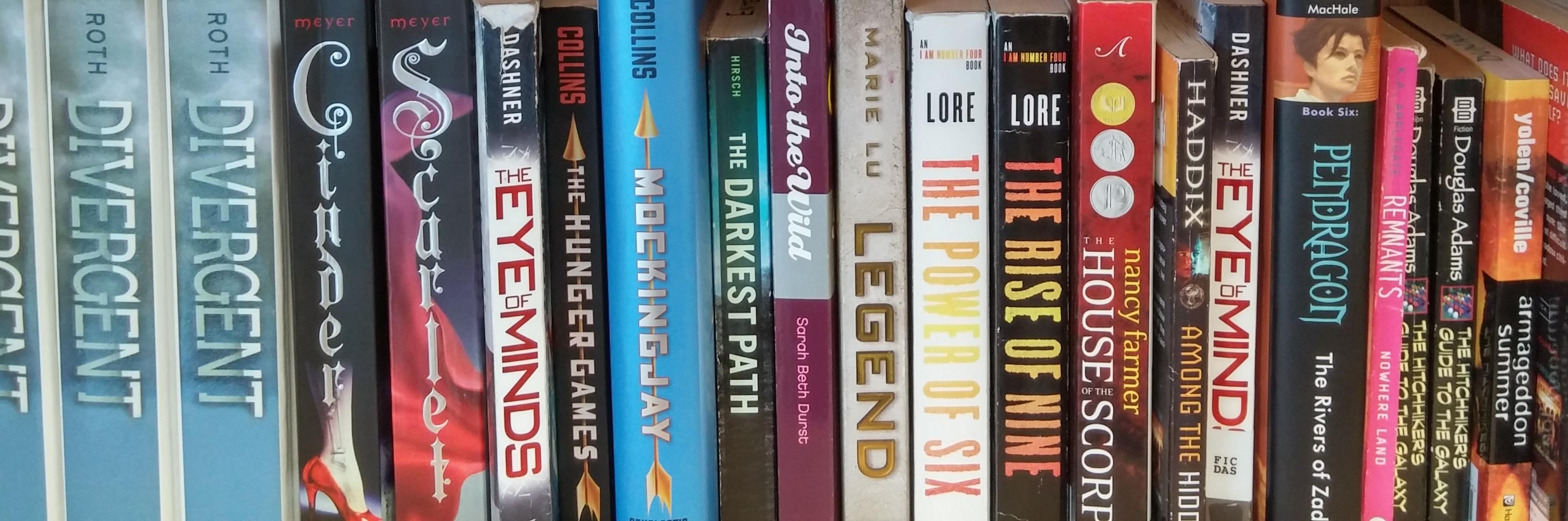 mrsdunnewrites's profile banner image