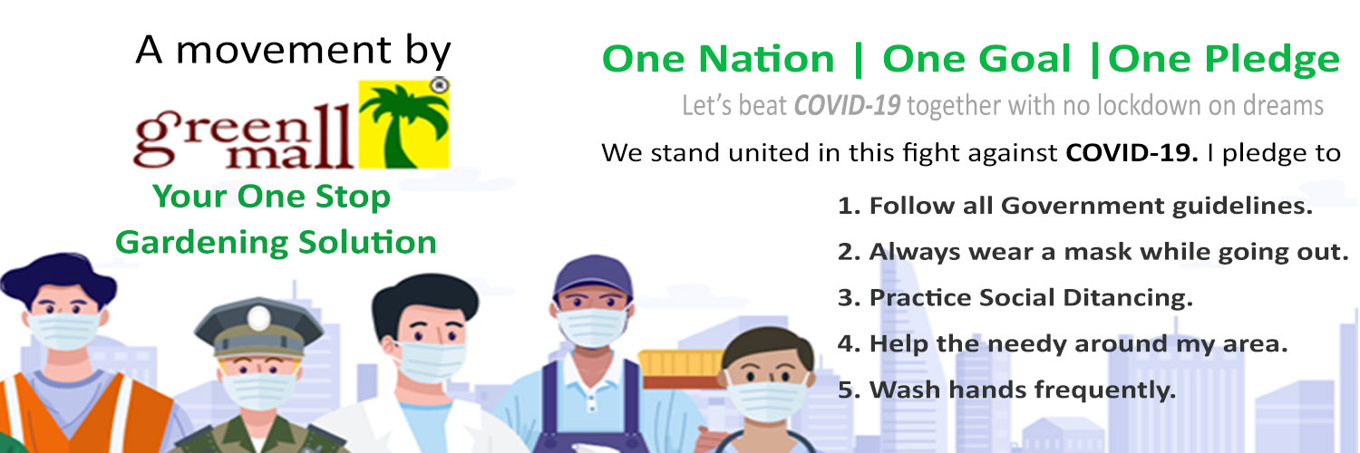 LiveGreenMall's profile banner image