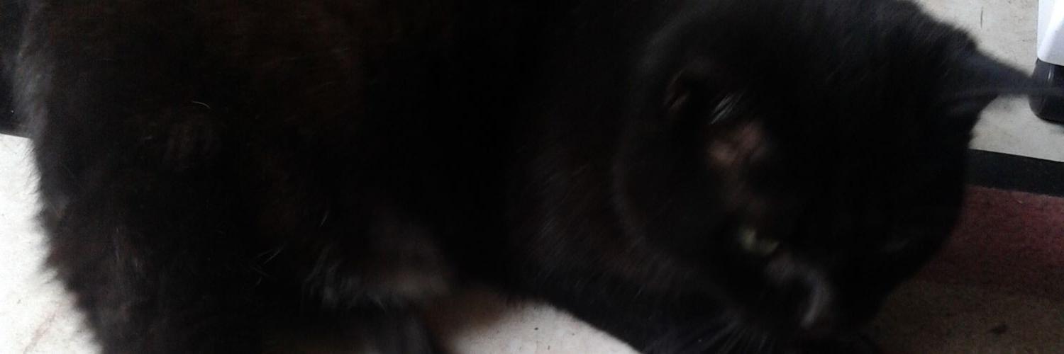 The_Marmott's profile banner image