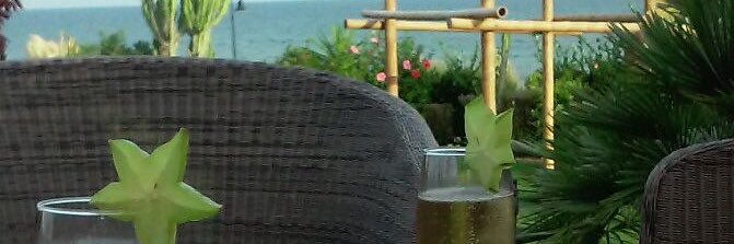 ludfocki's profile banner image