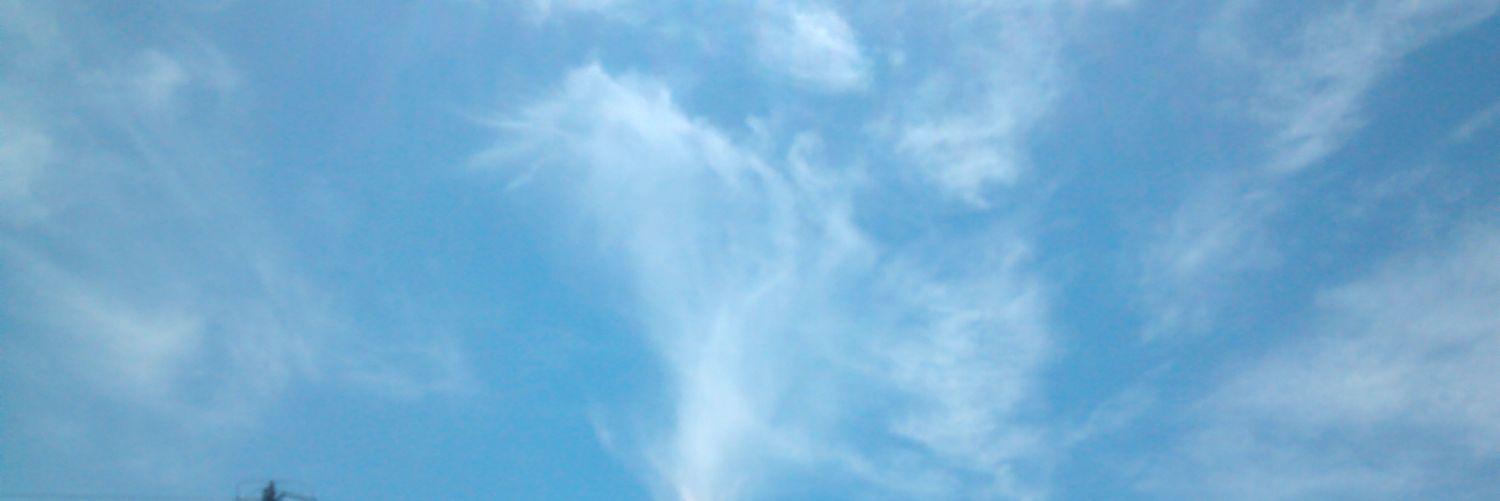 GuadalupRobagui's profile banner image