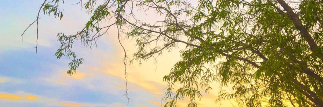 teeteac's profile banner image