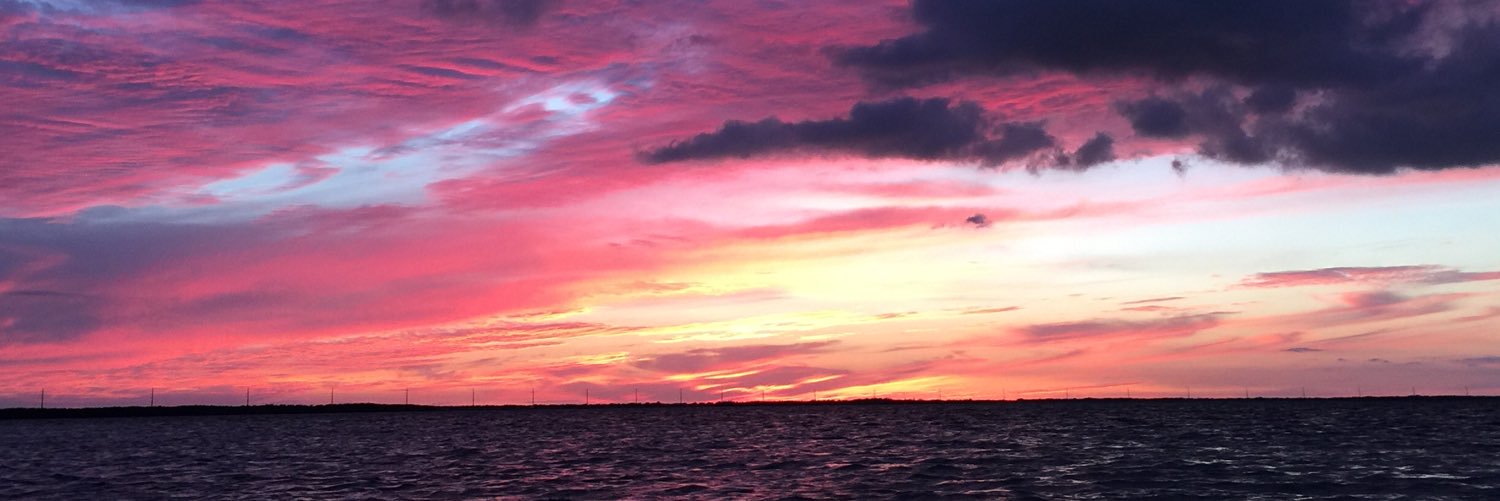 Curbelotwit's profile banner image