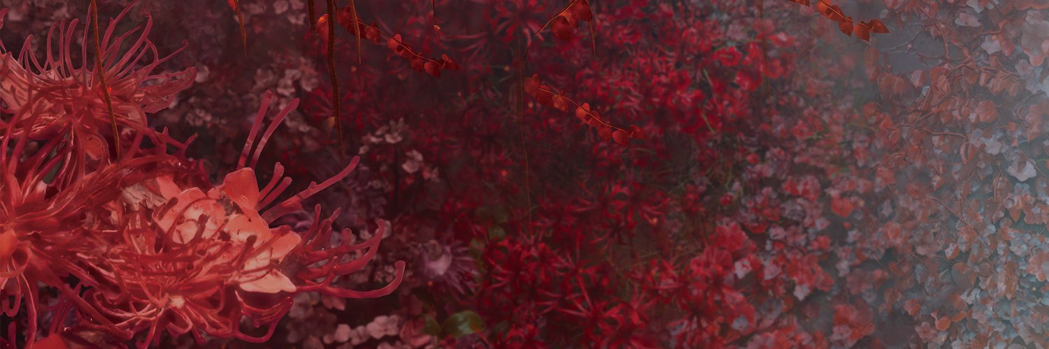 arachnvd's profile banner image