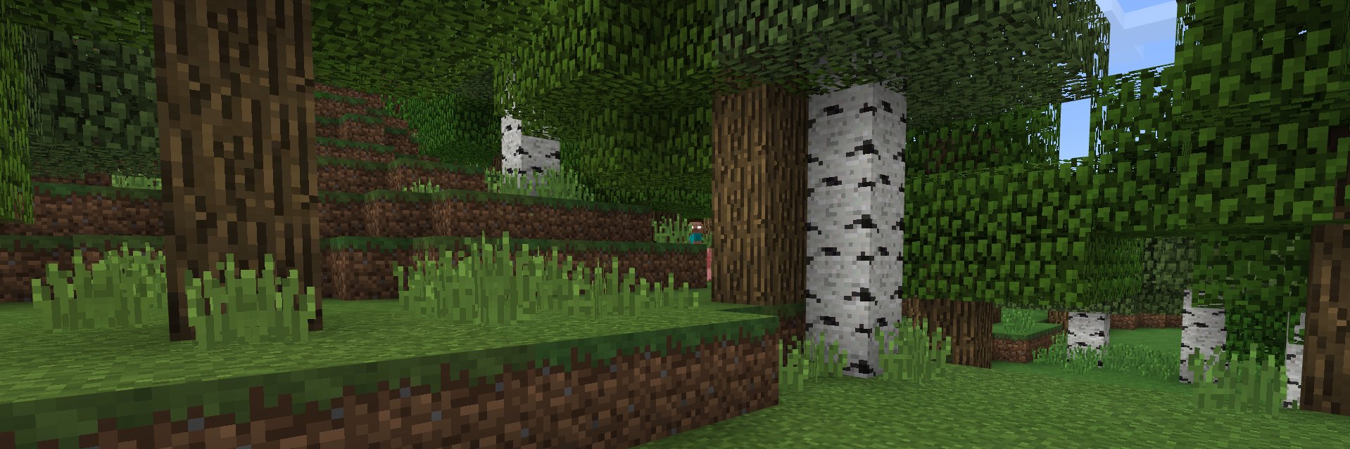JoePaleto banner