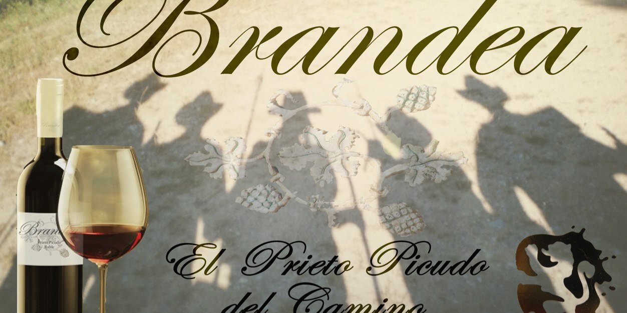 Brandeawine's profile banner image