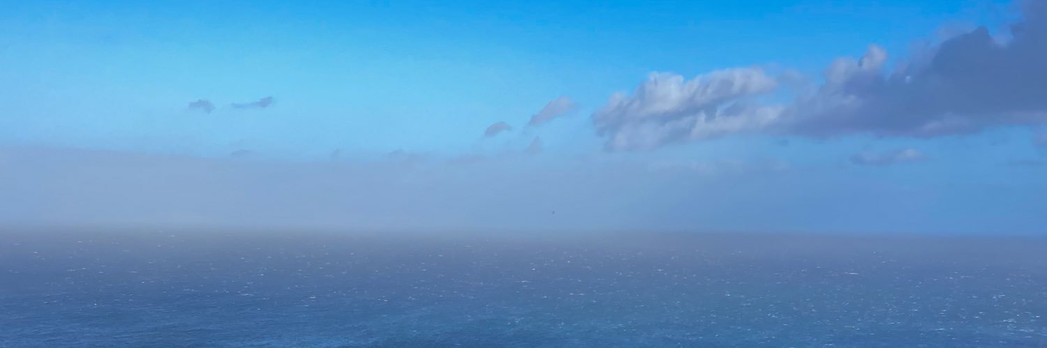 merigonort's profile banner image
