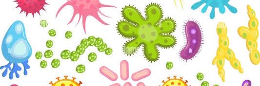 Microbiotaa's profile banner image