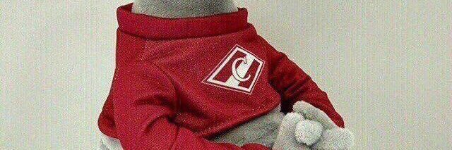 «Спартак» - это навсегда! banner