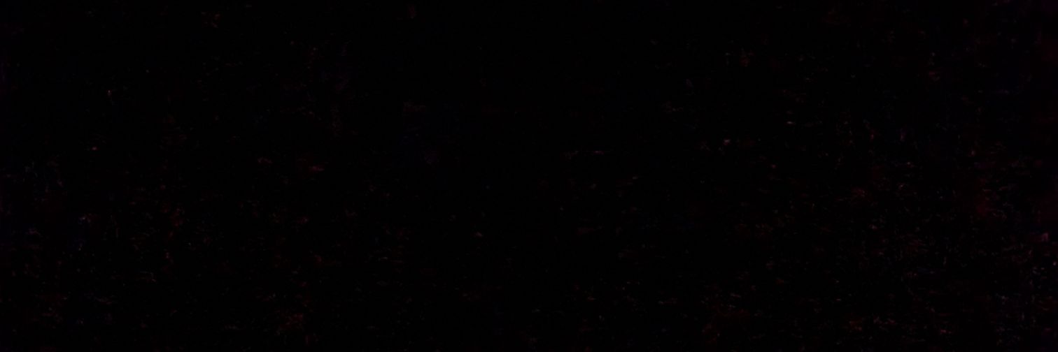 Єбанутий історик 🇺🇦🏳️‍🌈🇪🇺's banner