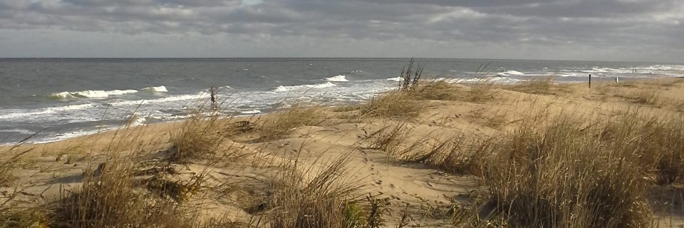 PENNIEBLOUGH's profile banner image