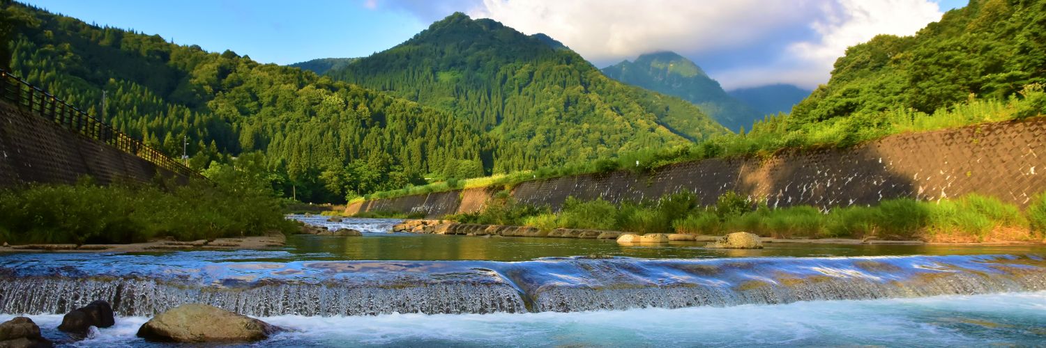 type1155_DD's profile banner image