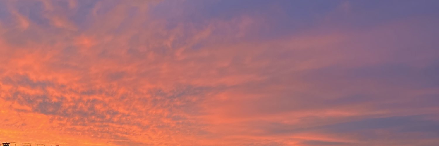 Elletsirch4's profile banner image