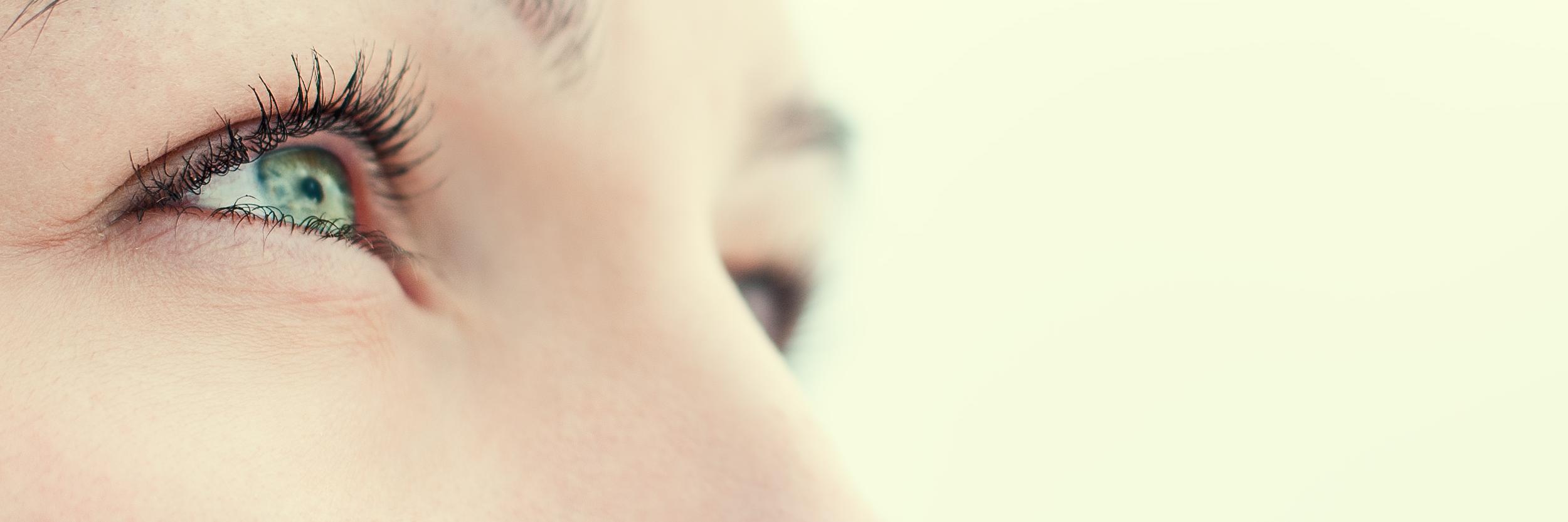 PhilNeveuCX's profile banner image