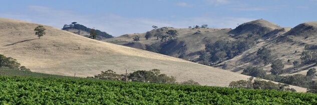 liebichwein's profile banner image