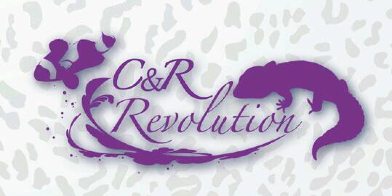crrbfm2013's profile banner image