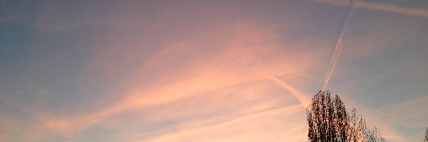 Ольga 💛💙 banner