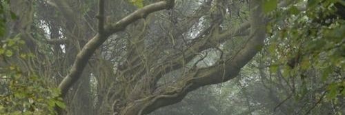 MelinaBva's profile banner image