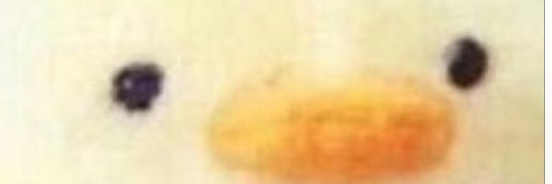 RushedVoid's profile banner image