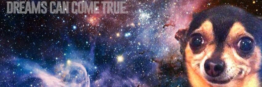 paige banner