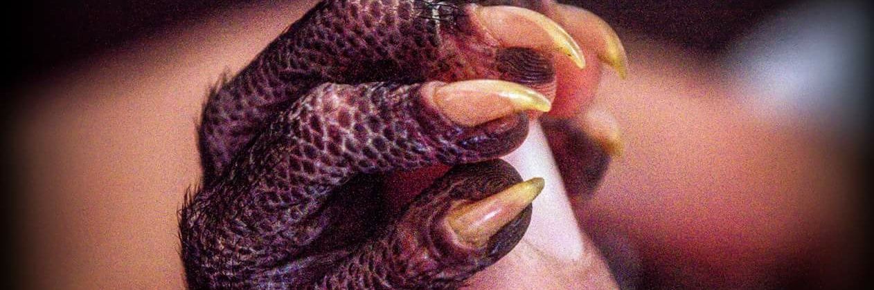 Miguel Ángel Molina banner