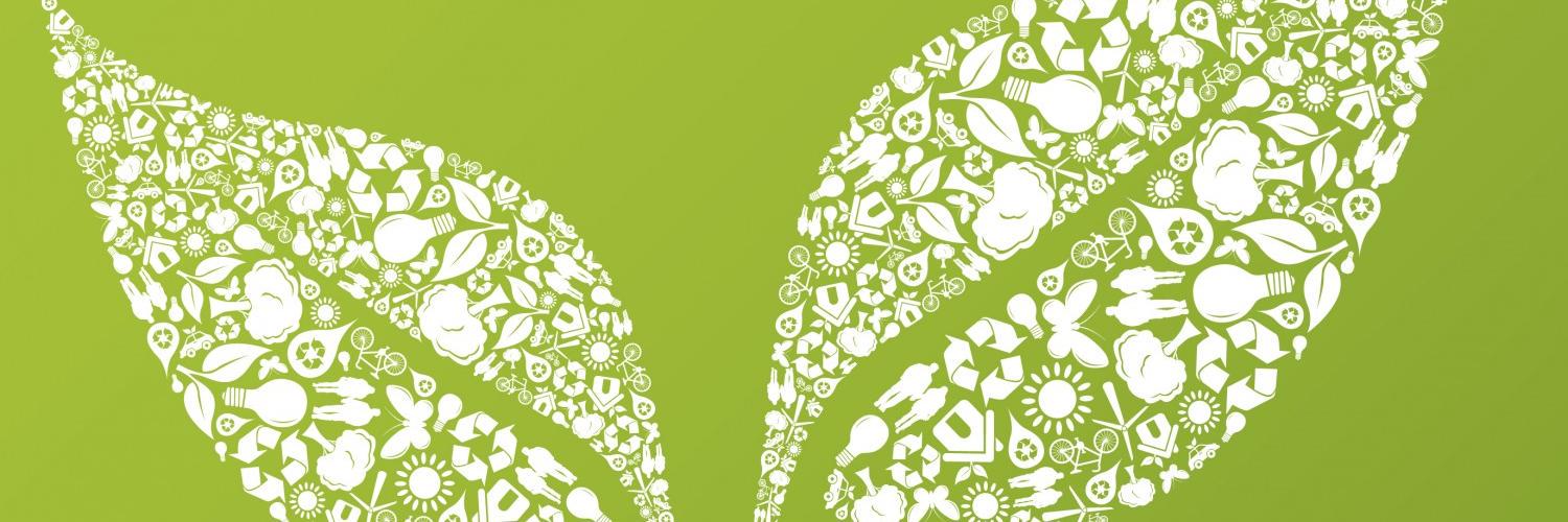 Hadar SUTOVSKY banner