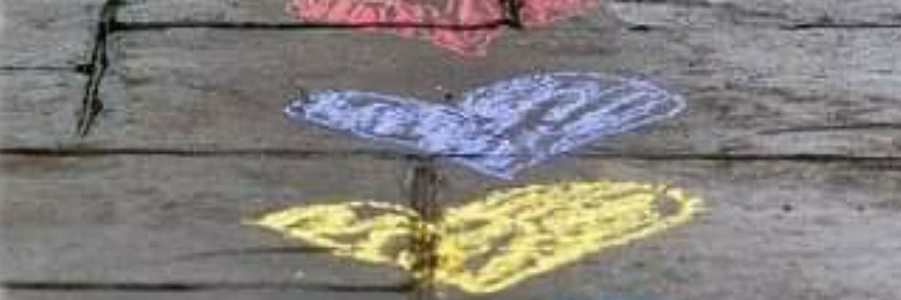 anapmaleno's profile banner image