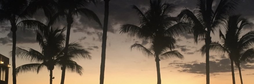 BjellaBlake's profile banner image