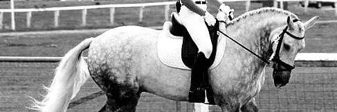 Collette Clark 💙 banner