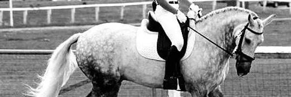letty_1999 Profile Banner