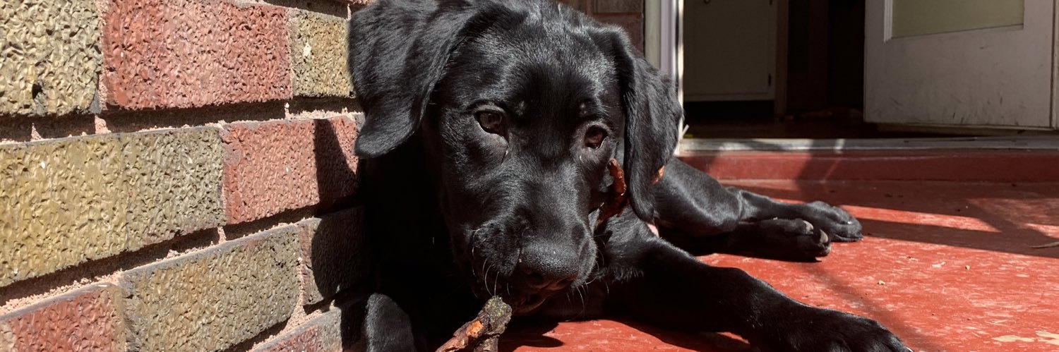 Jack & Cheese banner