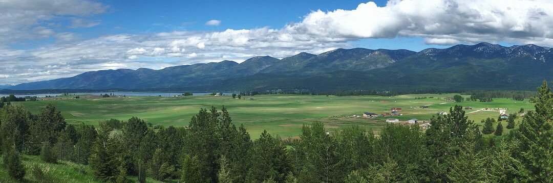 Maia ➡️🦋@thatmaia.bsky.social banner