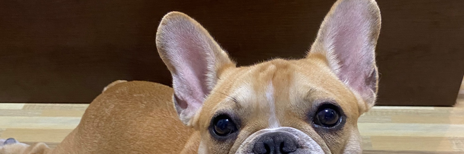 vancelenin's profile banner image