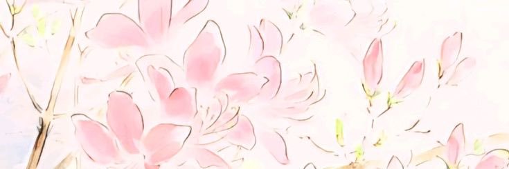 aeritty's profile banner image