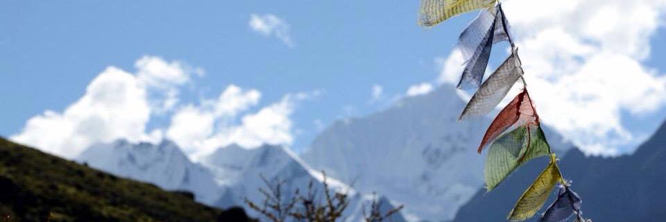 BarbaraFurman's profile banner image