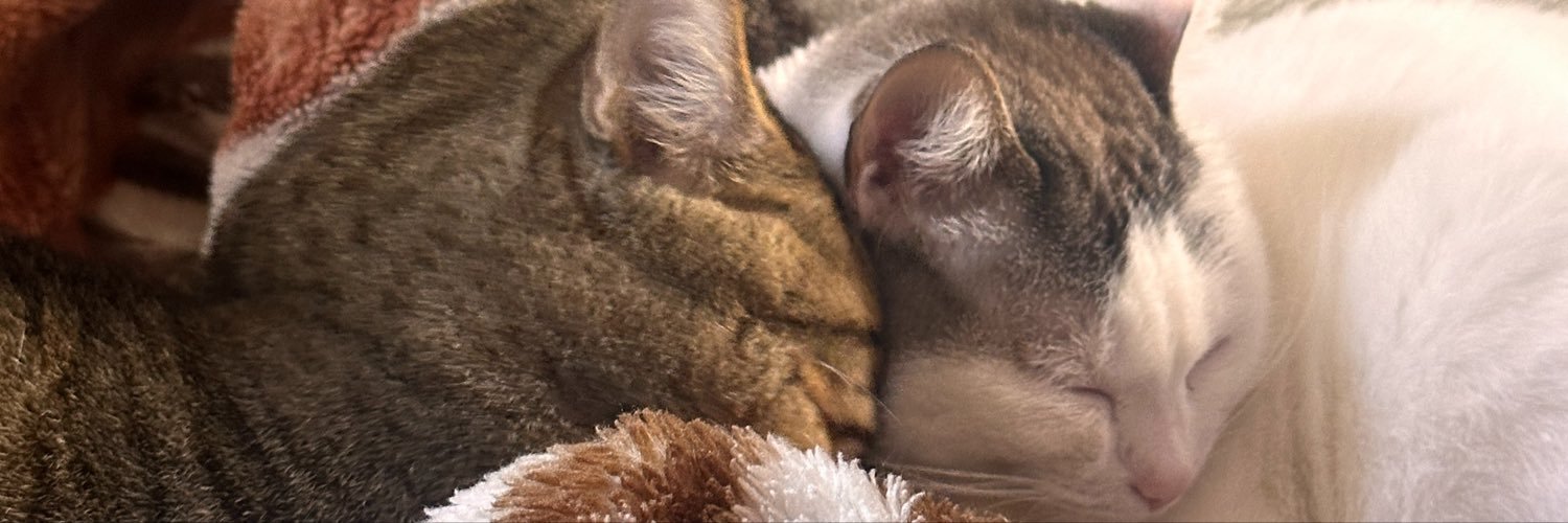 isabelaendo's profile banner image