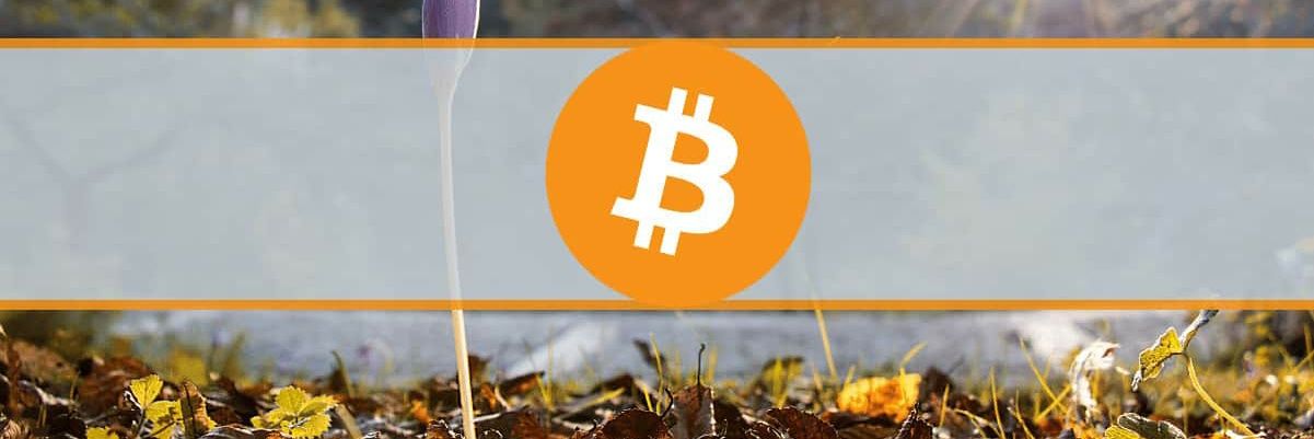 M.Bitcoin. banner