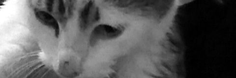 CuanOBrien's profile banner image