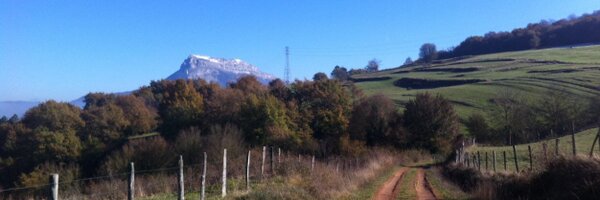 junekintana Profile Banner