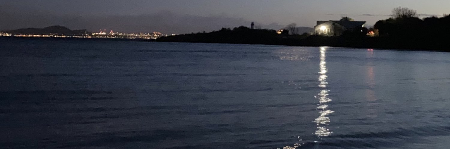 dianesnaddon's profile banner image