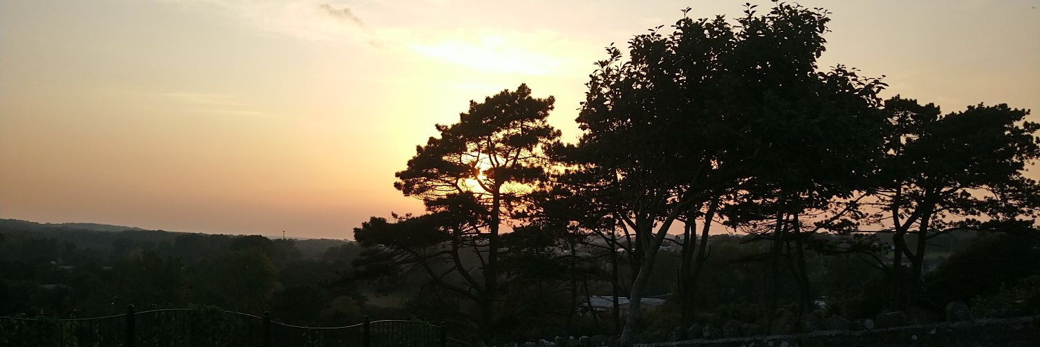 Elle_Beamo's profile banner image