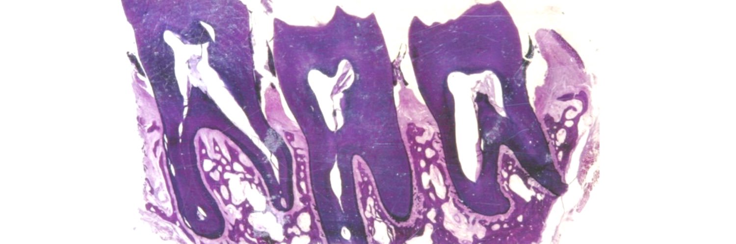 a_gruza's profile banner image