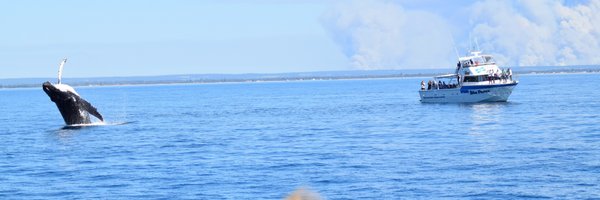 LegendCharters Profile Banner